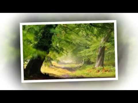 Lời gọi non ngàn - Bảo Yến