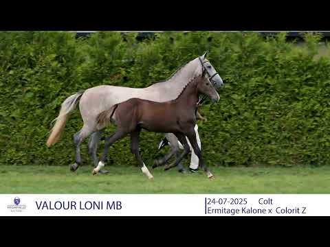 VALOUR LONI MB