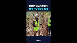 멧돼지만 가두려고 했는데..결국 '차단 울타리' 철거 #shorts