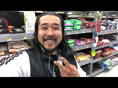 download lagu mp3 mp4 Best Dog Food For Pitbulls At Walmart, download lagu Best Dog Food For Pitbulls At Walmart gratis, unduh video klip Best Dog Food For Pitbulls At Walmart