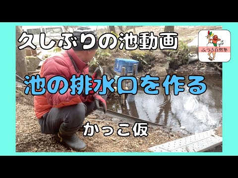 これが自然の池を正しく作成する方法です 庭の練習