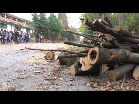 CUNEO. Ex caserma Montezemolo: cosa farne? - Servizio TELEGRANDA (ch 186)