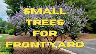 10 BEST All Season Small Trees For Front Yard | Low Maintenance Dwarf Trees for Landscaping