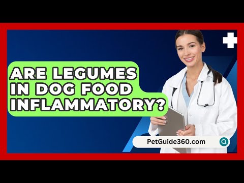 Are Legumes In Dog Food Inflammatory? - PetGuide360.com