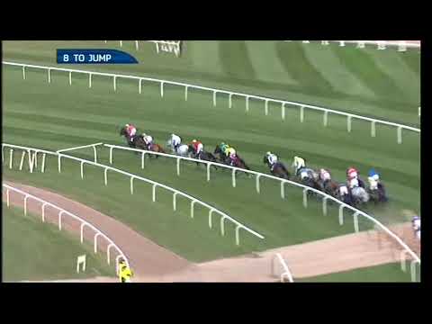 2013 Red Rum Handicap Chase - Aintree meeting