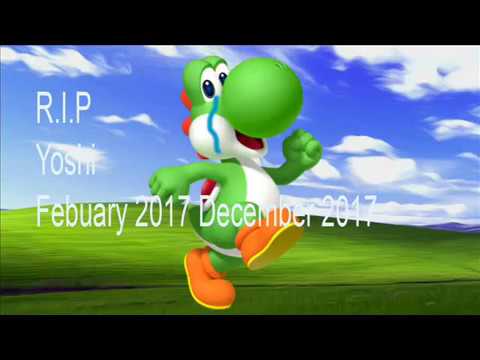 Rip yoshi