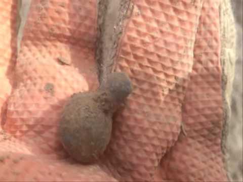 Moje Wykopki (Odc. 58) Prima Aprilisowe wykopki