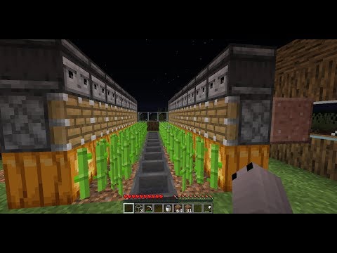 come fare una farm di canne da zucchero automatica