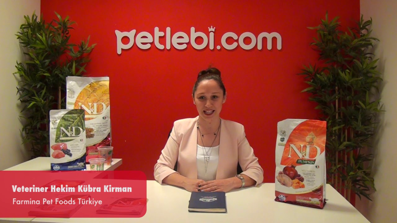 N&D Pumpkin Bıldırcın Etli Bal Kabaklı ve Narlı Tahılsız Kısırlaştırılmış Kedi Maması 1,5kg tanıtım video görseli