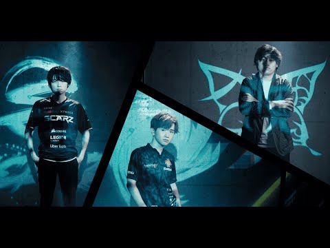 COA Vɷ辡ȡʥȥץ⡼ӥǥ