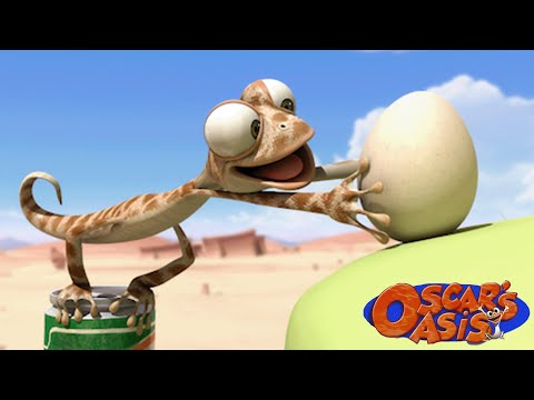 Oscar Finds a Chicken Egg + More Oscar's Oasis Cartoons For Kids