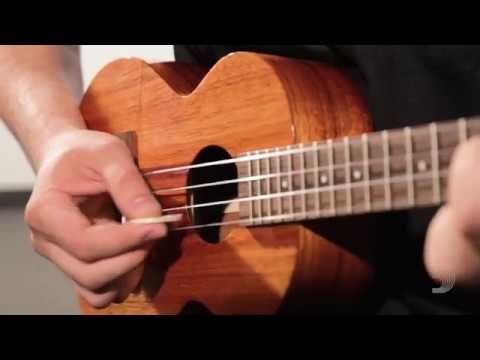 D'Addario Accessories: Ukulele Felt Pick