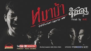 หมาบ้า – วงพัทลุง