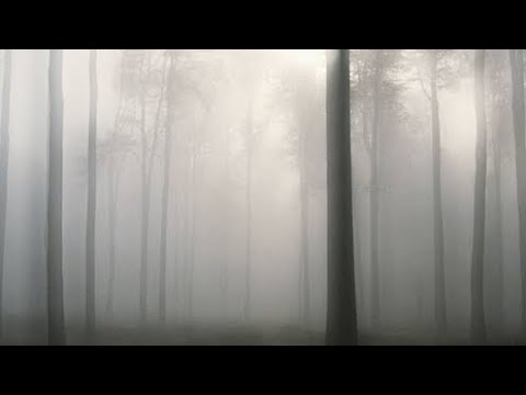 Rênas Jiyan - Gataya Mirinê