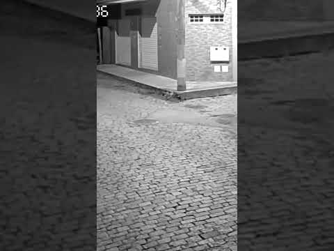 ladrão em Minas Gerais nepomuceno