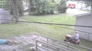 Mowing Grass Redneck Brew [Actual speed] SKIP to 01:55