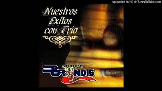 Grupo Bryndis - Mi Preciosa Mujer (Con Trío)