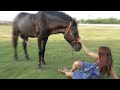 Smart Girl Training Horse Basics In My Village