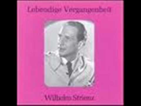 WILHELM STRIENZ-BASS-MADEL, ICH BIN DIR SO GUT.wmv