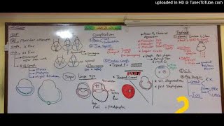 30) Dr. Wael Salah myopia (2)