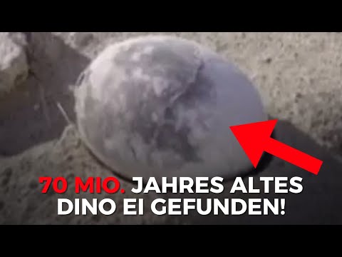 Researchers discover a well-preserved 70-million-year-old dinosaur egg!