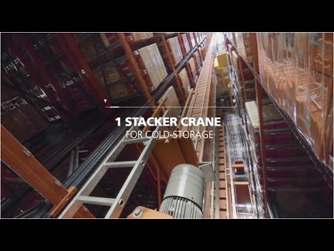 Spectacular Automated Rack Supported Warehouse Ready for the Future
