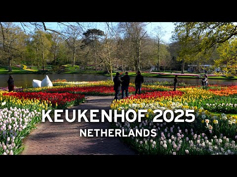 🇳🇱 Keukenhof 2025 – A Calm and Sunny Evening Stroll [4K]