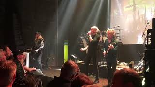 Saga - Mouse in a maze