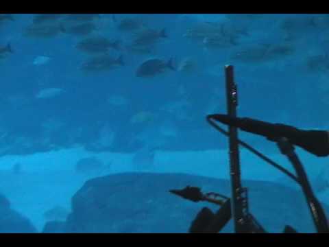 Promotional video thumbnail 2 for Steven Charles Atlanta Jazz