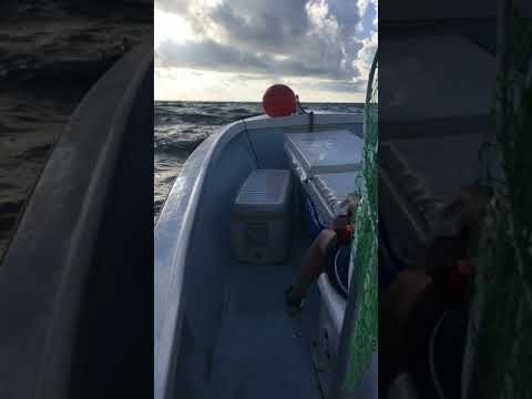 Chunky boat ride out Ponce Inlet | 24ft Offshore Yacht vs Huge Waves | Boat For Sale