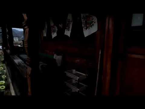 THE GORGAN HOUSE ( PENSIUNEA LA GORGAN ) VADU IZEI VIDEO 2 #gopro12#travel #viral