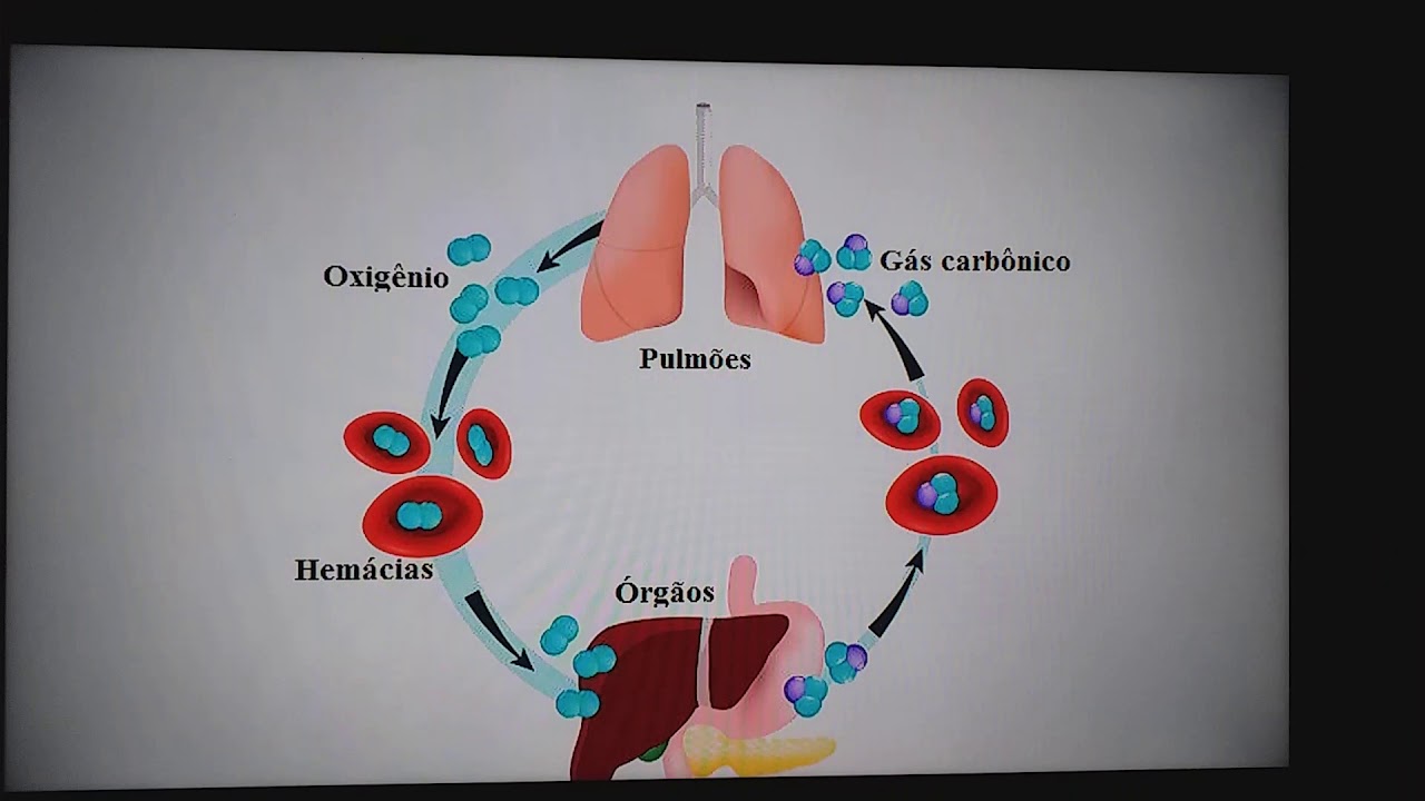 Sistema tampão bicarbonato e fosfato. Parte 1