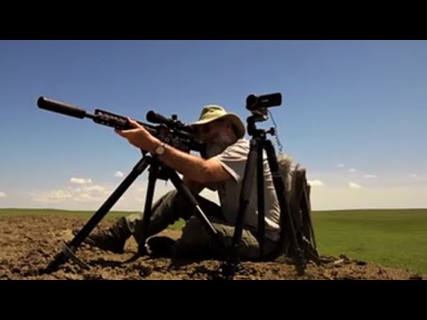 Rock River Build, Match Bullets on a Dog Town???  Hornady 53gr HP Match