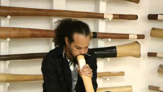 Sydney Didgeridoo Player- Sean Patrick Ryan