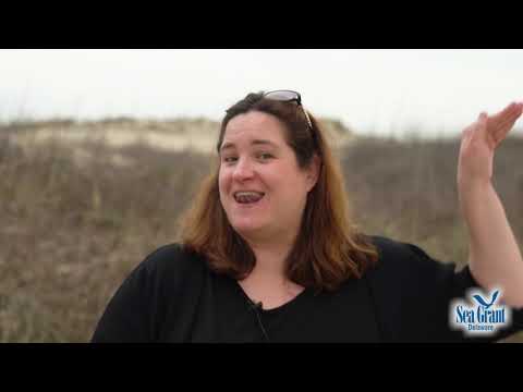 15 Second Science   Gulf Stream