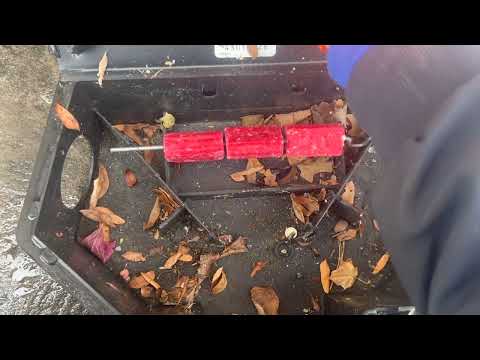 We're Back to Check on the Rodent Activity in West Long Branch, NJ