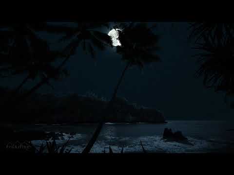 5K Tropical Beach Night   8 HOURS of Soothing Nature Night Sounds for Relaxation and Sleep