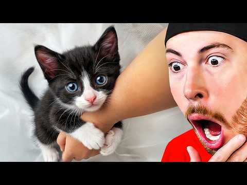 The Cutest Things Animals Do