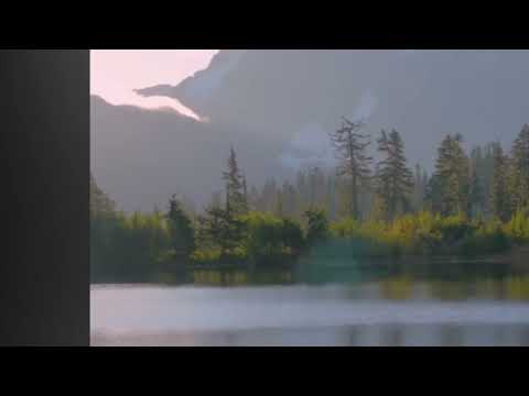 fable - The Owner of the Bow