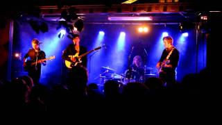 Omnivision @ Vasaparken - Animal Kingdom