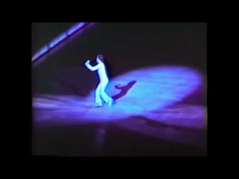 Robert Wagenhoffer 1983 Ice Capades Ice Age Pro