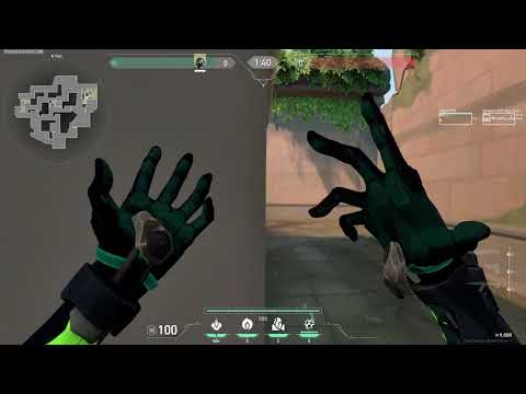 3 SUPER USEFUL VIPER RAT PITS