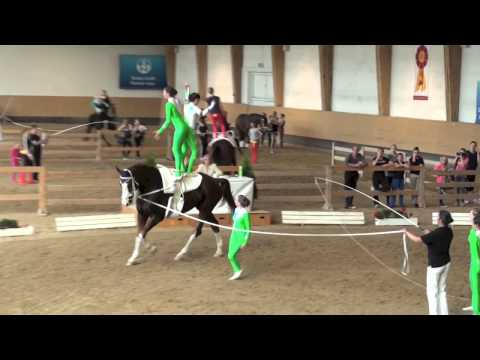 Pferd International 2013  Gilching Junior I