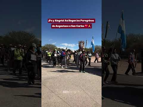 Emocionante: Mas de 60 Peregrinos de #Angastaco llegan a San Carlos 👏🏼♥️