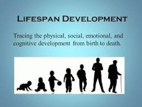 Lifespan Development: Paul Baltes' 7 Characteristics