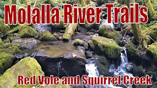 Doing the Rim Loop with full video of Red Vole and Squirrel Creek.