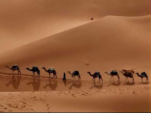 Bayati araban saz semaisi