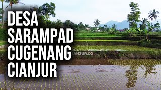 Potensi Desa Sarampad Cugenang Cianjur (Drone View)