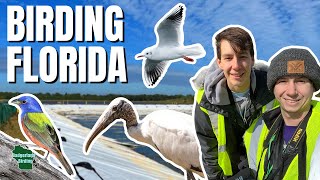 A Ridiculous Day of Birding at the Space Coast Birding and Wildlife Festival!
