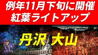 【例年11月下旬に開催】丹沢 大山 紅葉 ライトアップ 2024年11月28日 大山阿夫利神社 大山寺